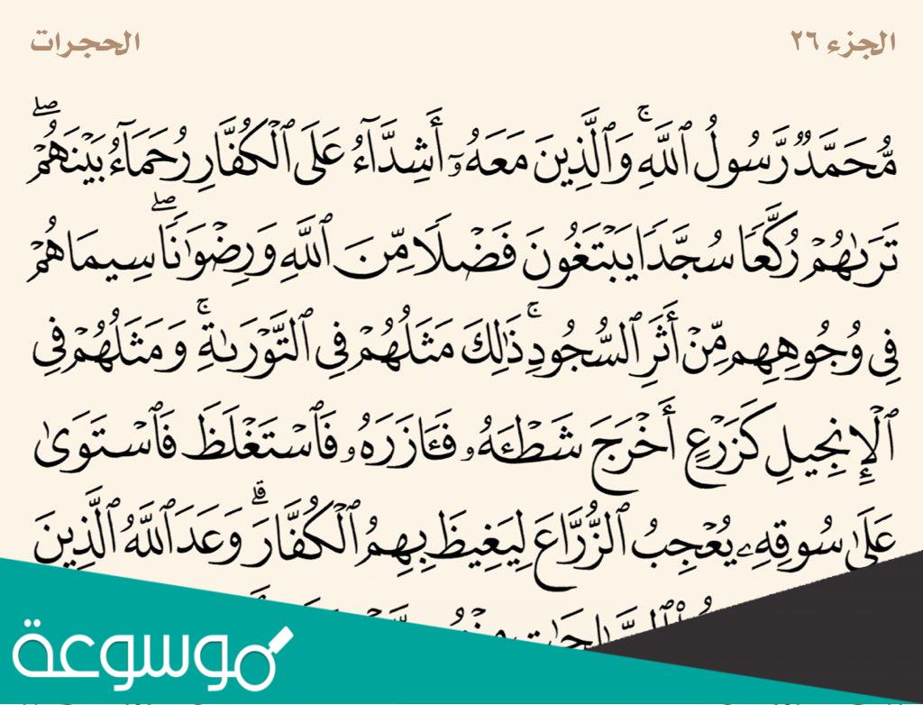 ما هي الآية التي جمعت كل حروف اللغة العربية