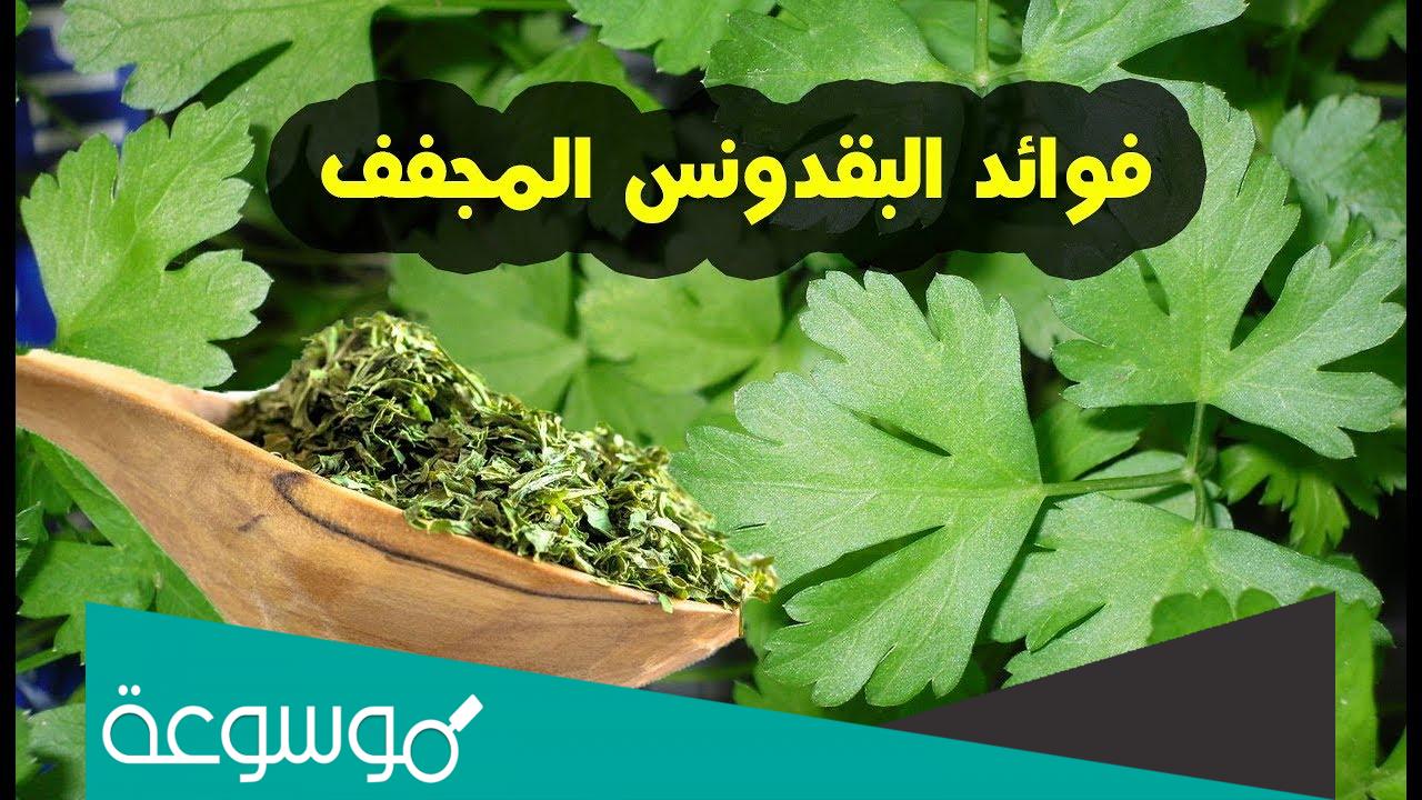 طريقة عمل بقدونس مجفف بالخطوات