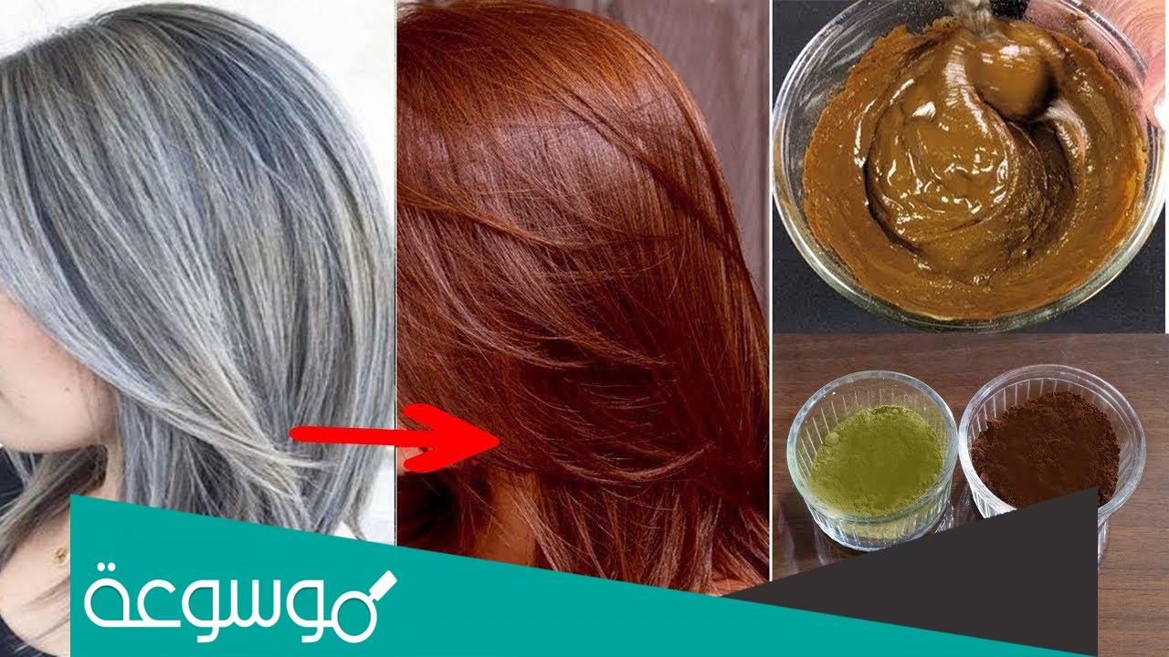 أفضل صبغة بدون امونيا لشيب الشعر