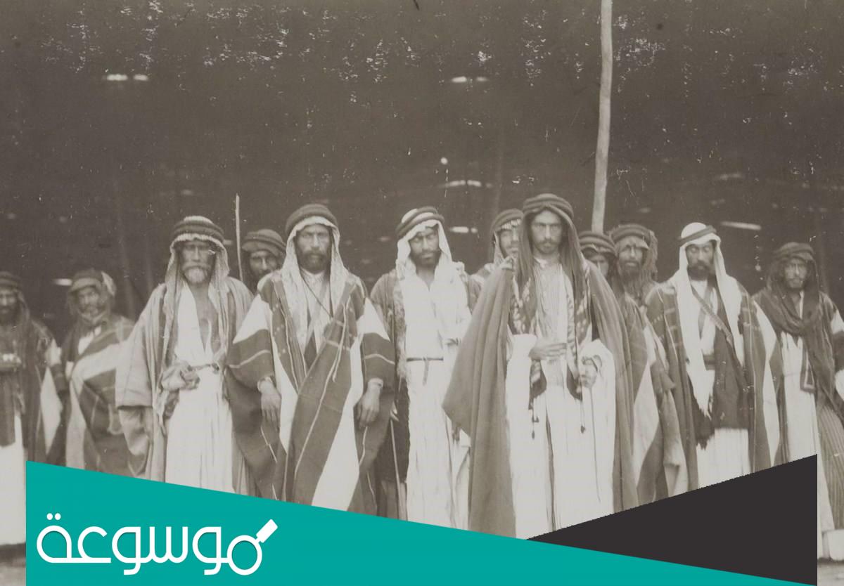 أصل عائلة الحمادي من وين