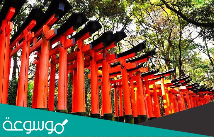 أفضل 10 جولات في كيوتو