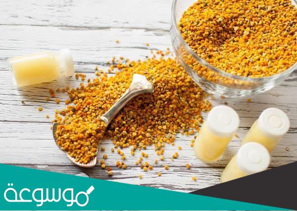 أفضل أنواع غذاء ملكات النحل السائل والكبسولات