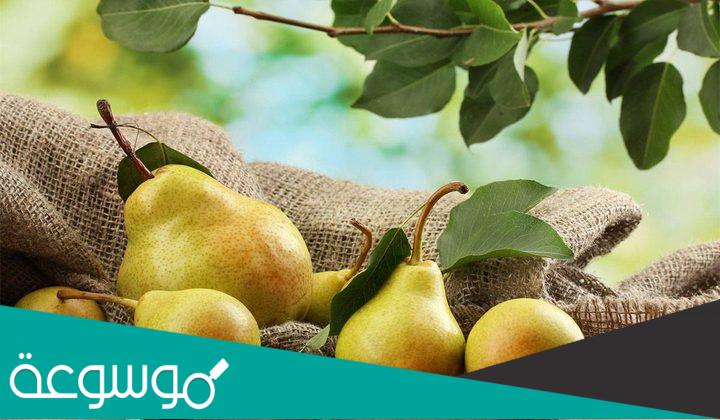 فوائد الاجاص للصحة وعلاج الأمراض