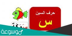 اجمل ما قيل في حرف السين
