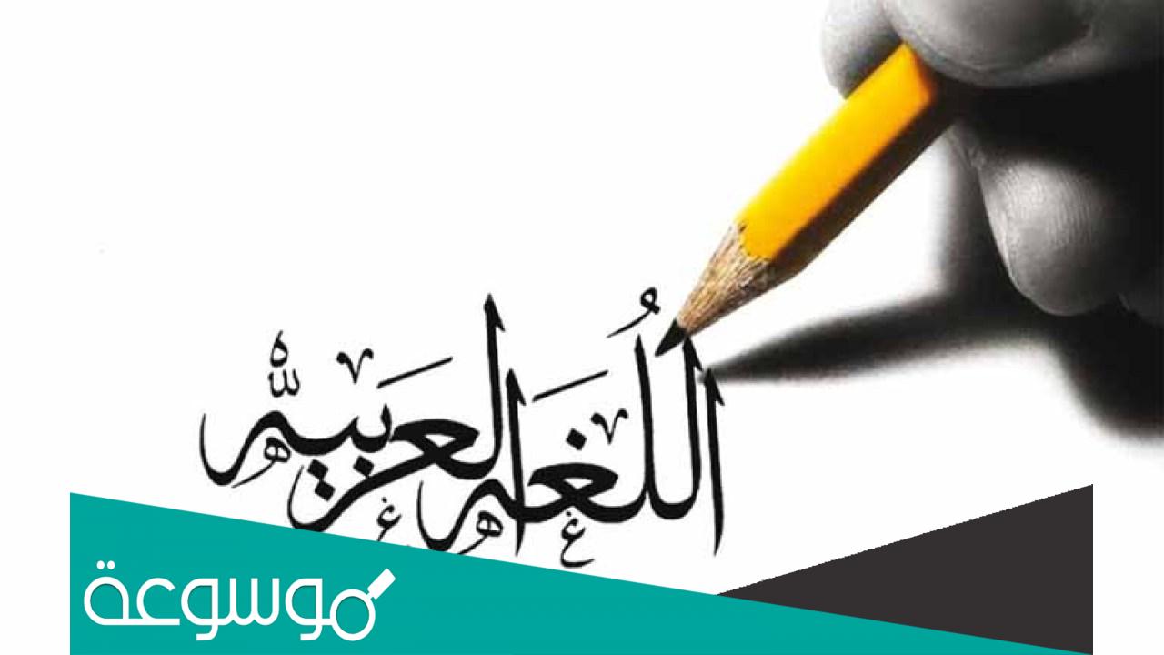 اسباب قوة اللغة العربية وضعفها