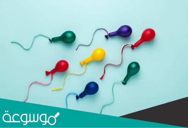 اسلوب منع حمل جديد بـ ” كبسولة سداسية “