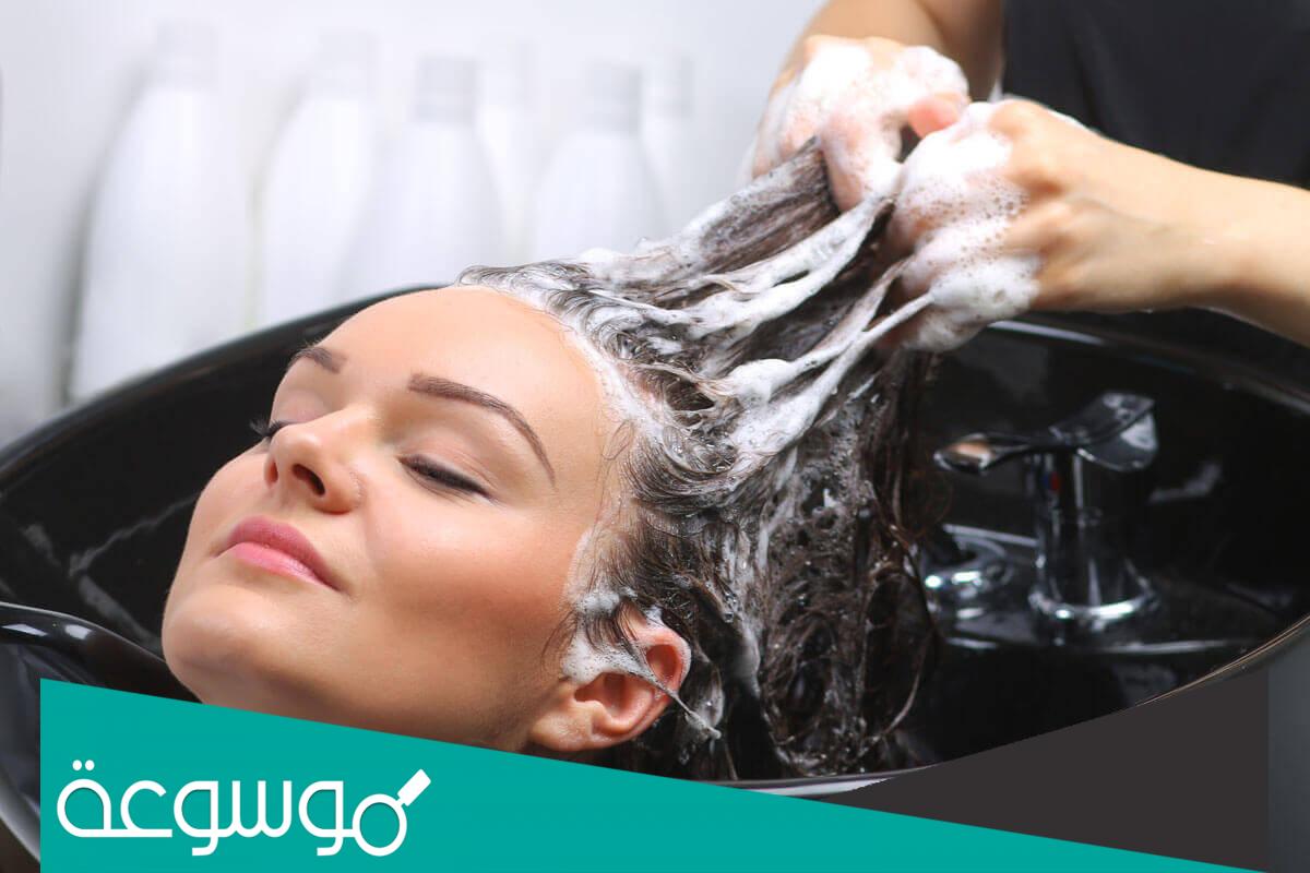 افضل شامبو للشعر الدهني خالي من المواد الكيميائية