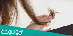 اقوى علاج لتساقط الشعر مجرب