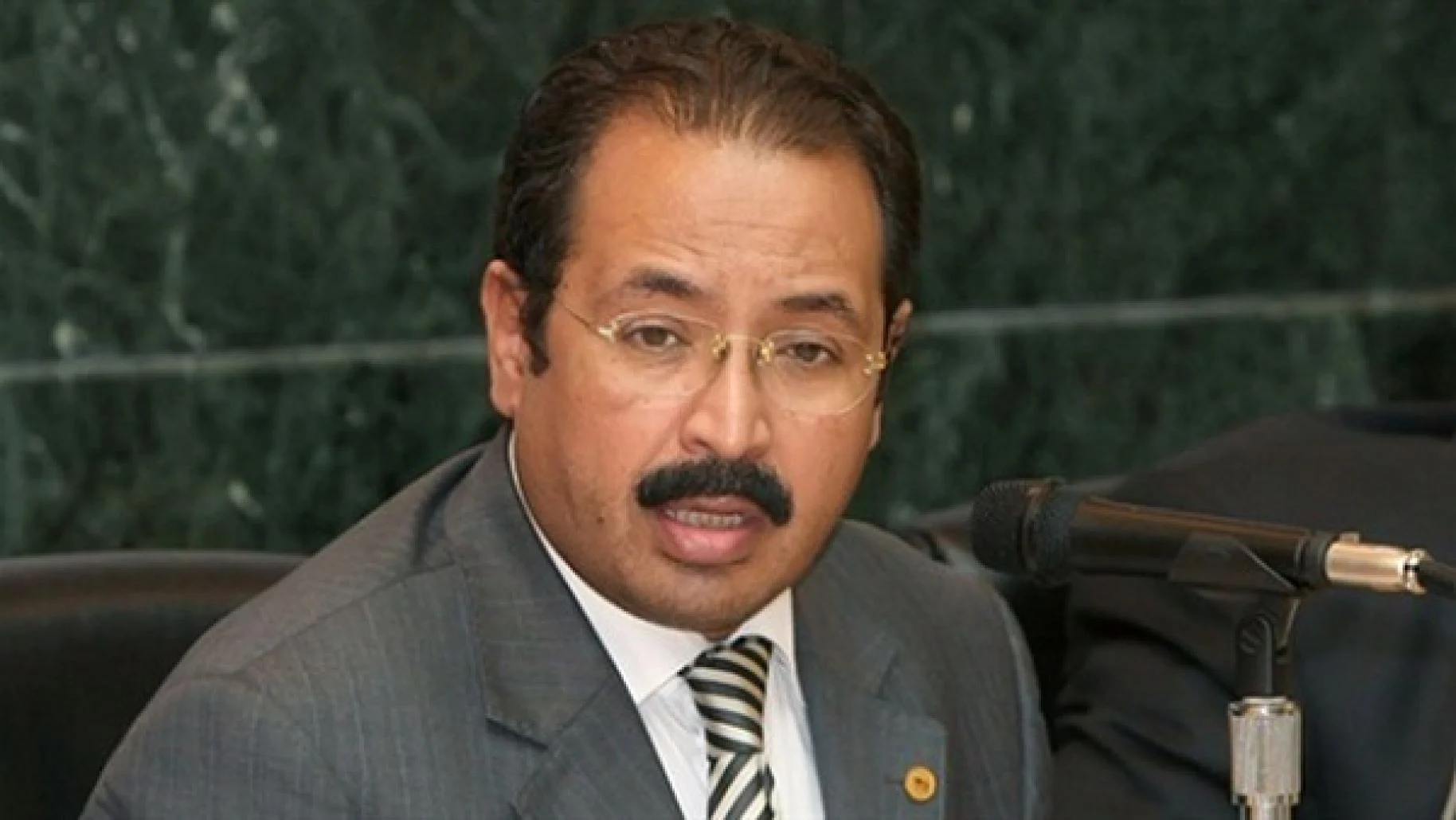 الدكتور هاني رسلان السيرة الذاتية