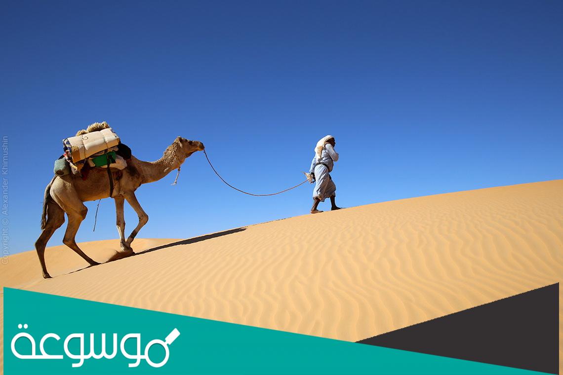 الزمامي وش يرجعون