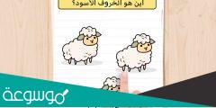 اين هو الخروف الاسود Brain Test المرحلة