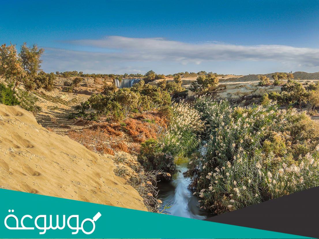 اين يقع وادي العلاقي في اي دولة