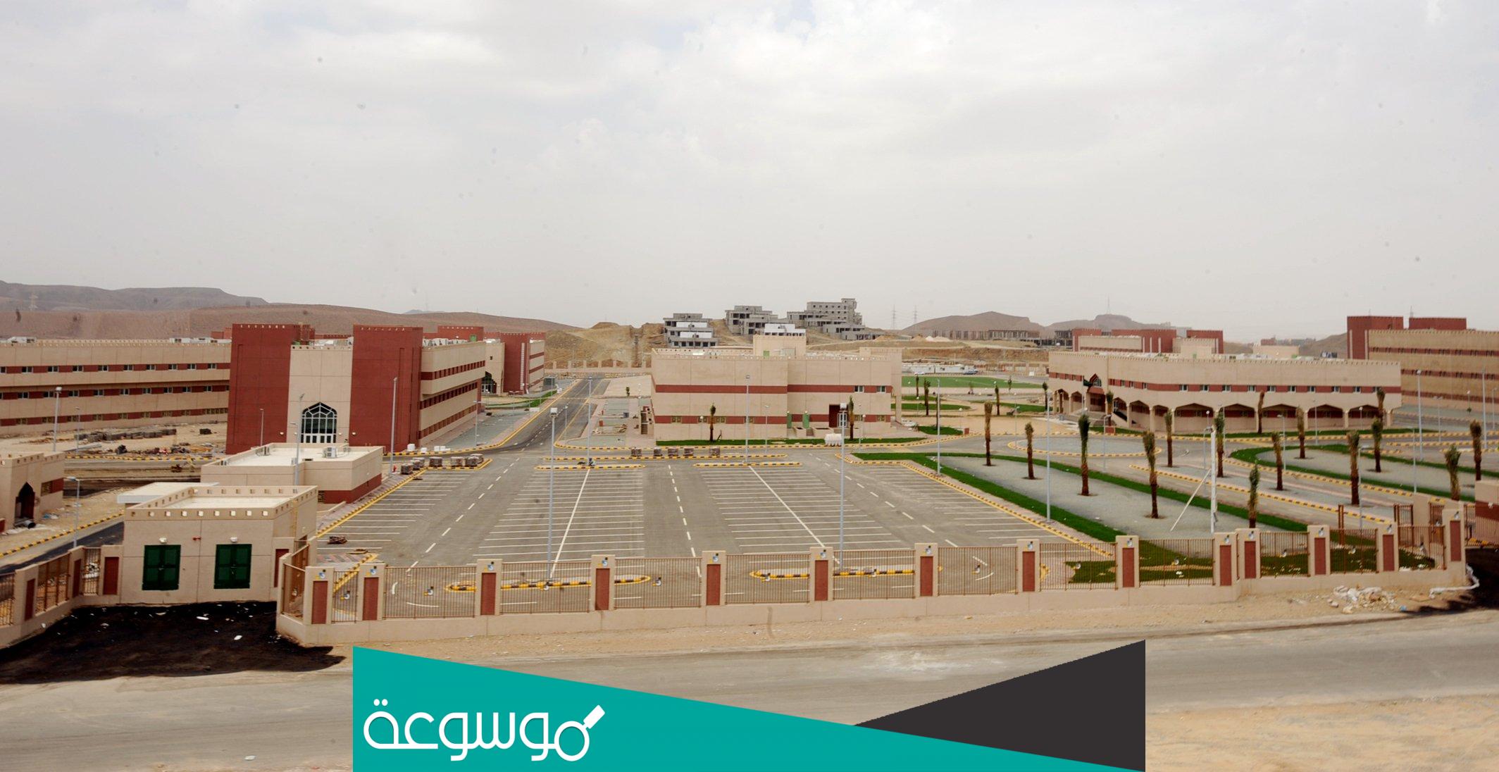 تخصصات الكلية التقنية بجدة للبنات 1442/1443