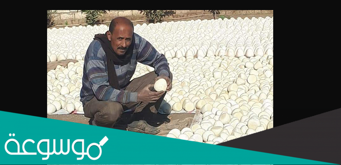 تفاصيل ضبط جميد مصنوع من الدهان في مصر