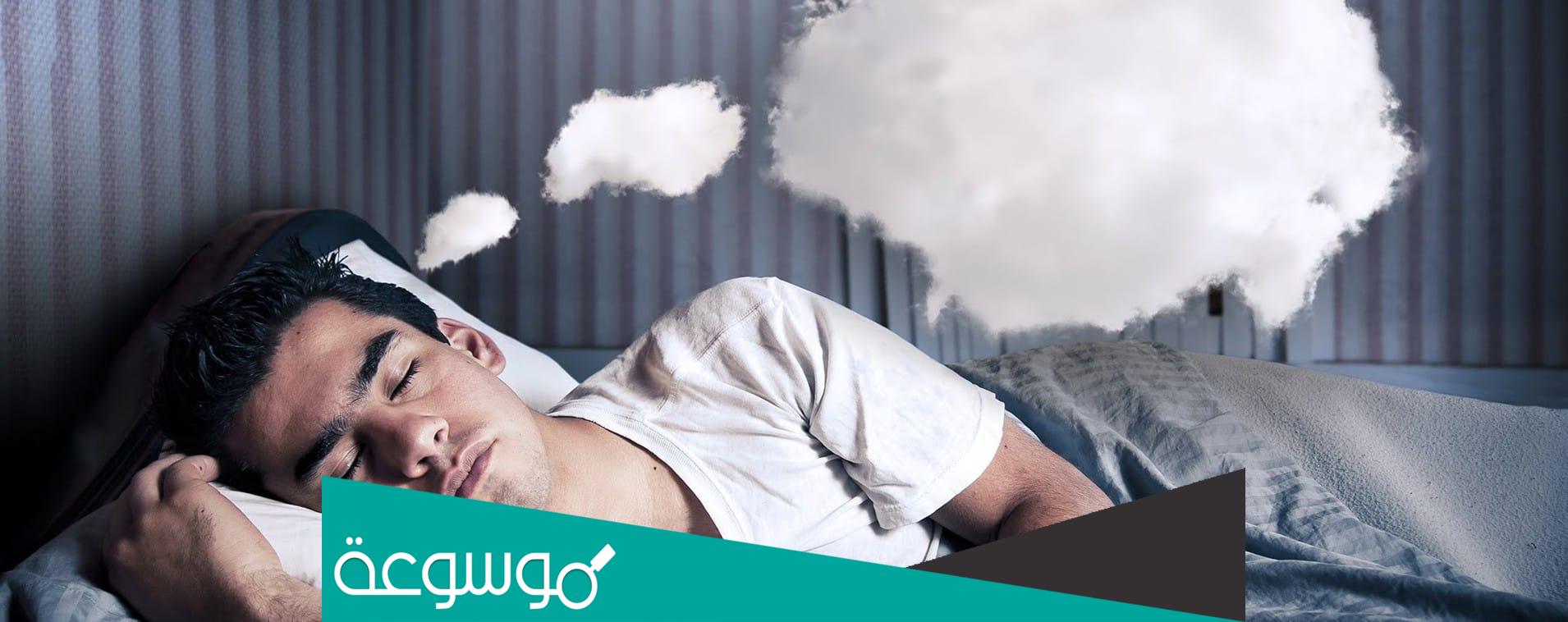 تفسير البومة في المنام بمختلف الحالات