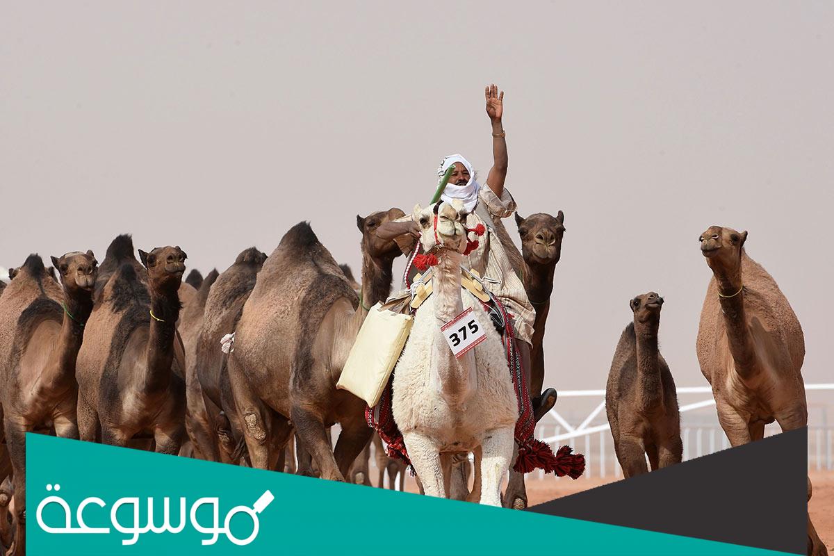 جدول مهرجان الملك عبدالعزيز للإبل 1443 كامل