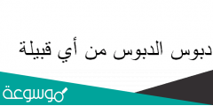 دبوس الدبوس من أي قبيلة