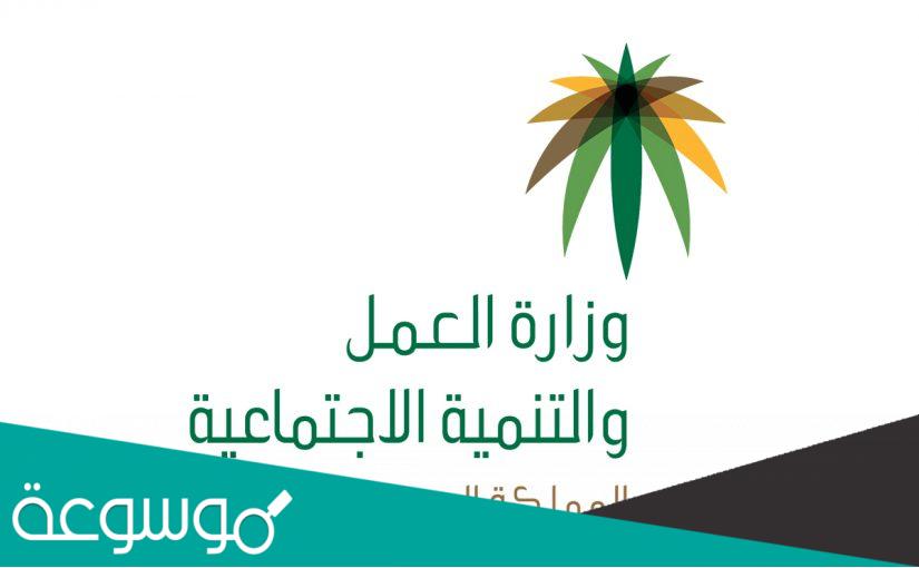 شرح التوطين الموازي وأهم فوائده