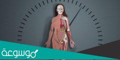 ما هي طرق حساب العمر الجسدي بدقة