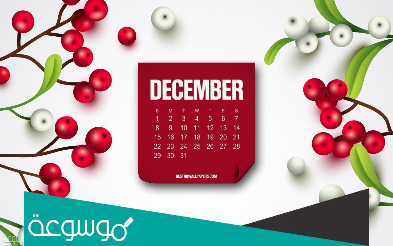 عبارات جميله عن شهر ديسمبر كلام جميل عن مواليد شهر