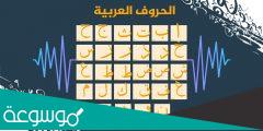 عدد الاصوات في اللغة العربية