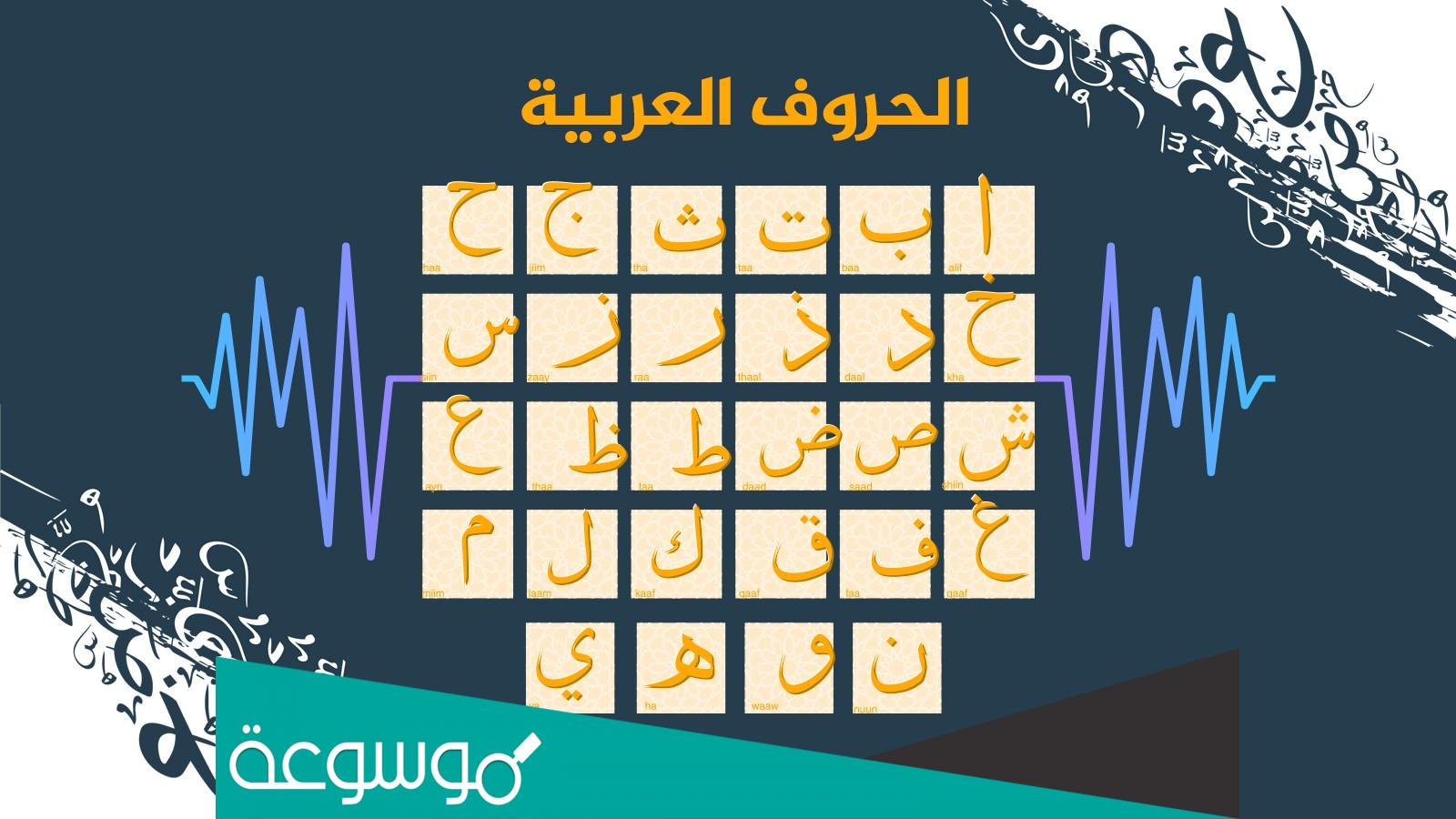 عدد الاصوات في اللغة العربية