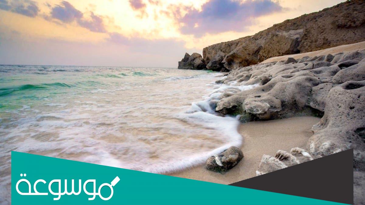 عدد جزر جزيرة فرسان 85 84 80