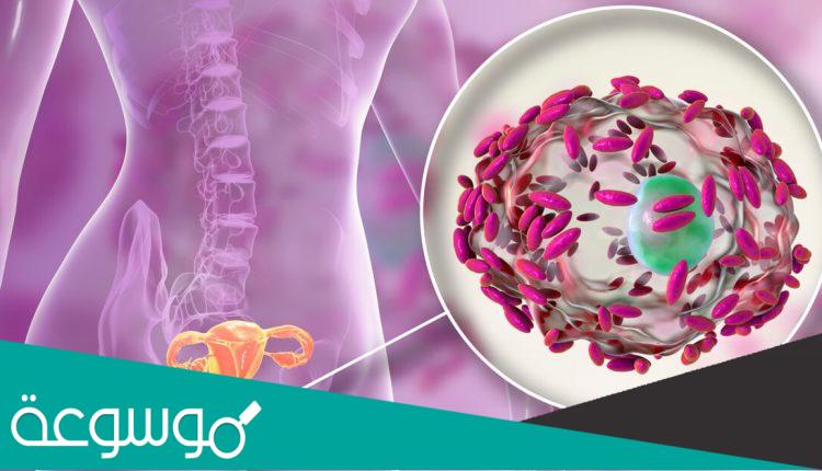 سبب التهابات الجلد في المناطق الحساسة وعلاجها