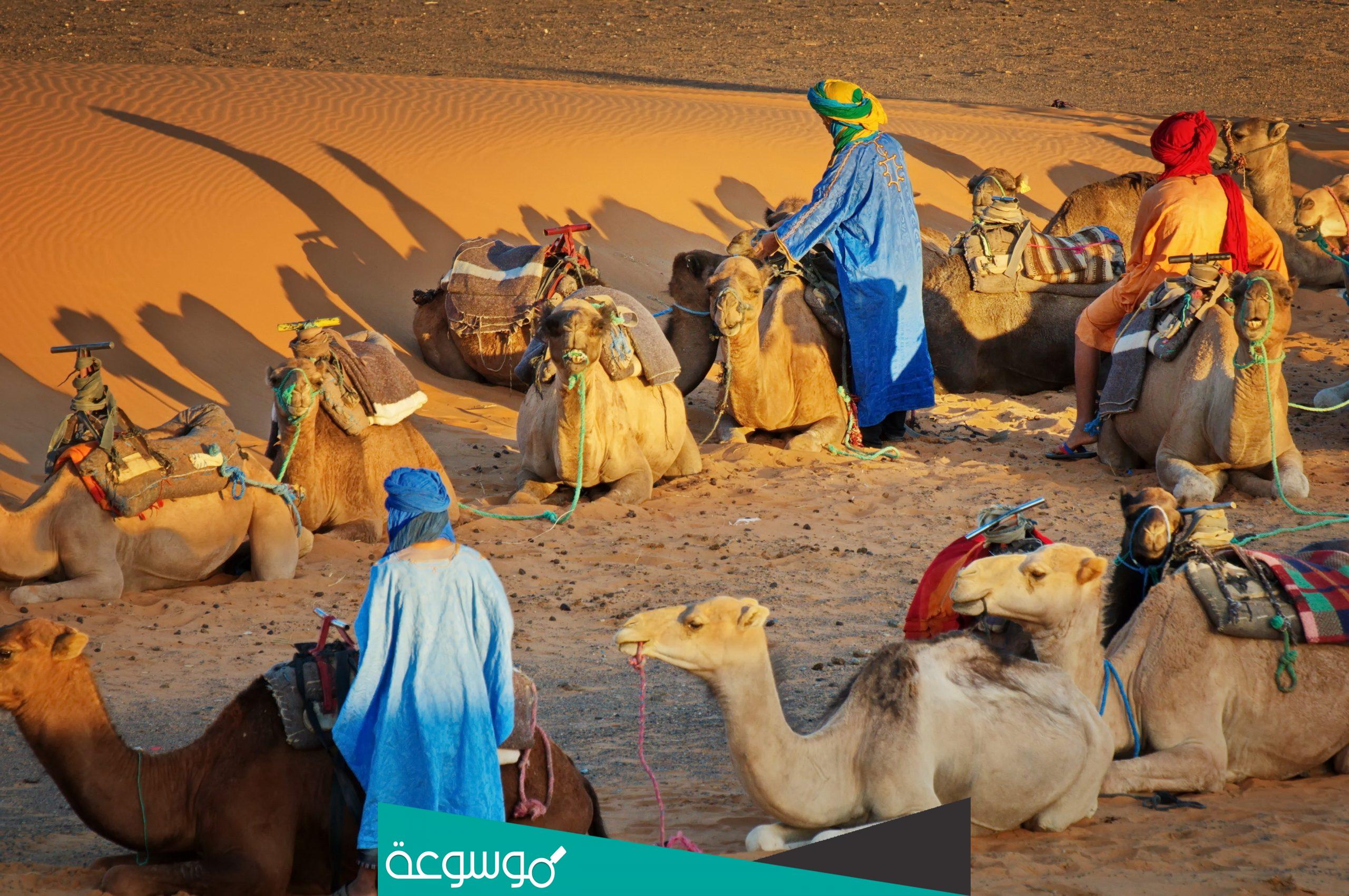 دبوس الدبوس وش يرجع