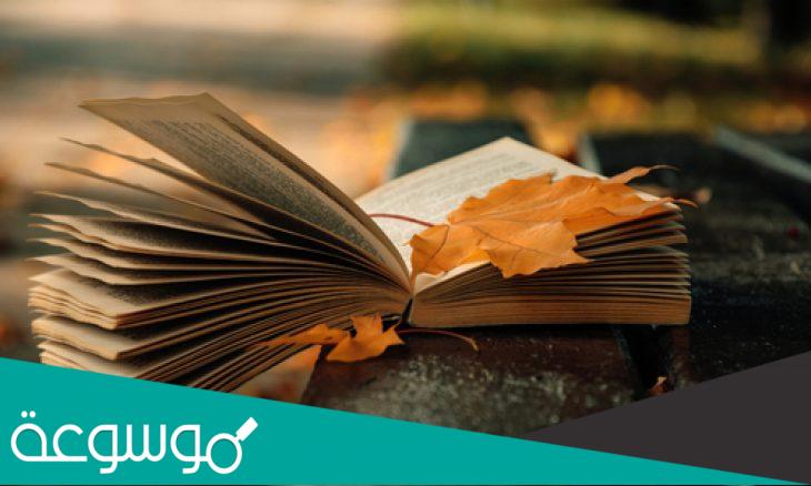 فهي هي وهي هي ثم هي هي وهي وهي كاملة