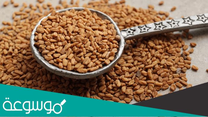 فوائد الحلبة للعظام جابر القحطاني