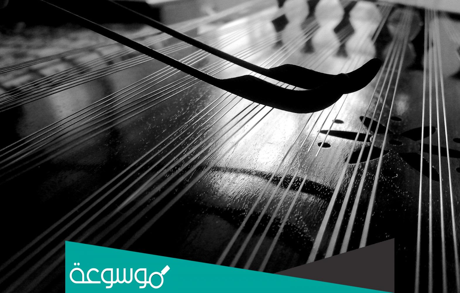 كلمات شيلة ابن دغيثر ذات يوم اتي