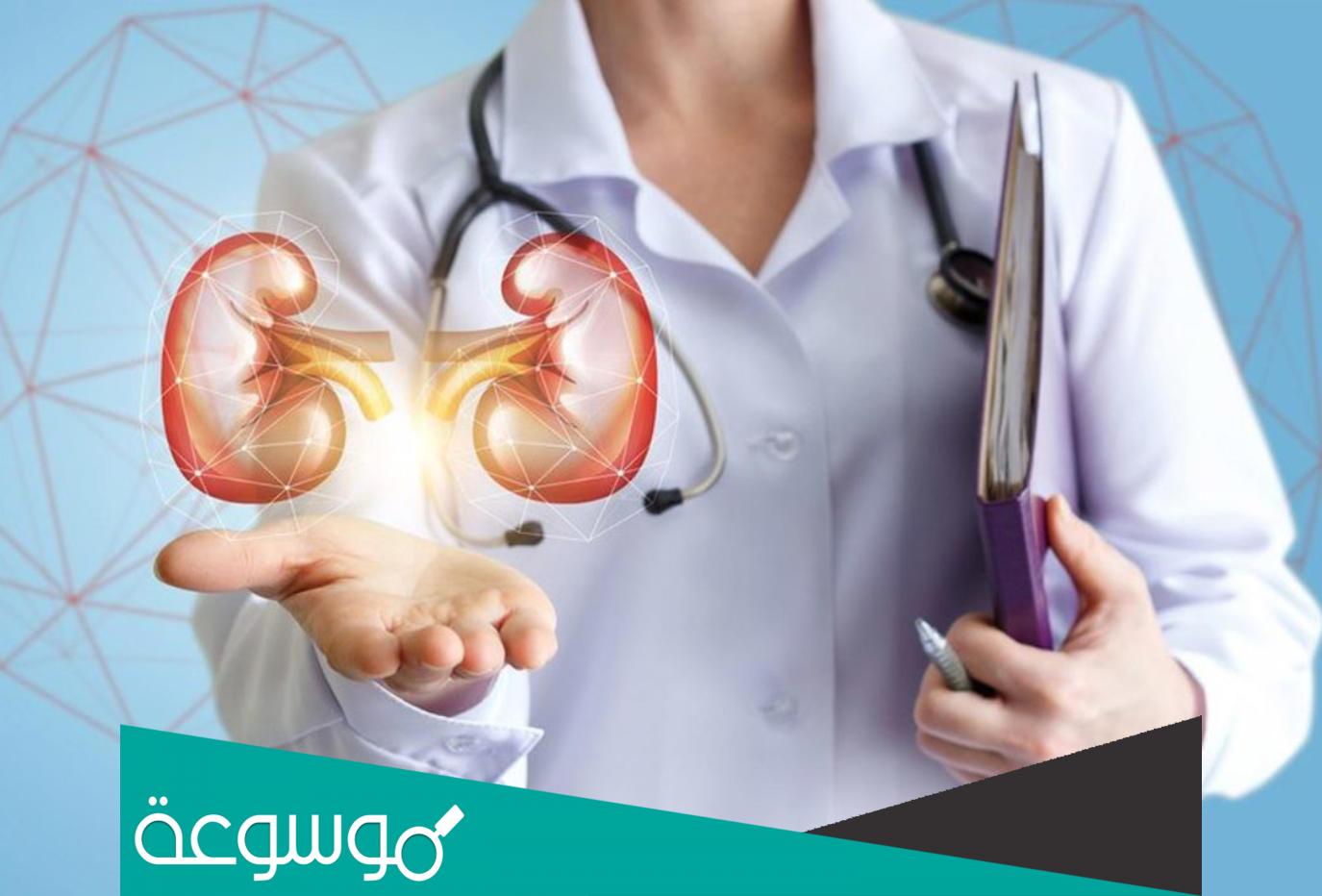 كم سعر الكلية الواحدة في السعودية؟