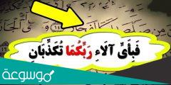 كم مرة وردت اية فبأي الاء ربكما تكذبان في سورة الرحمن