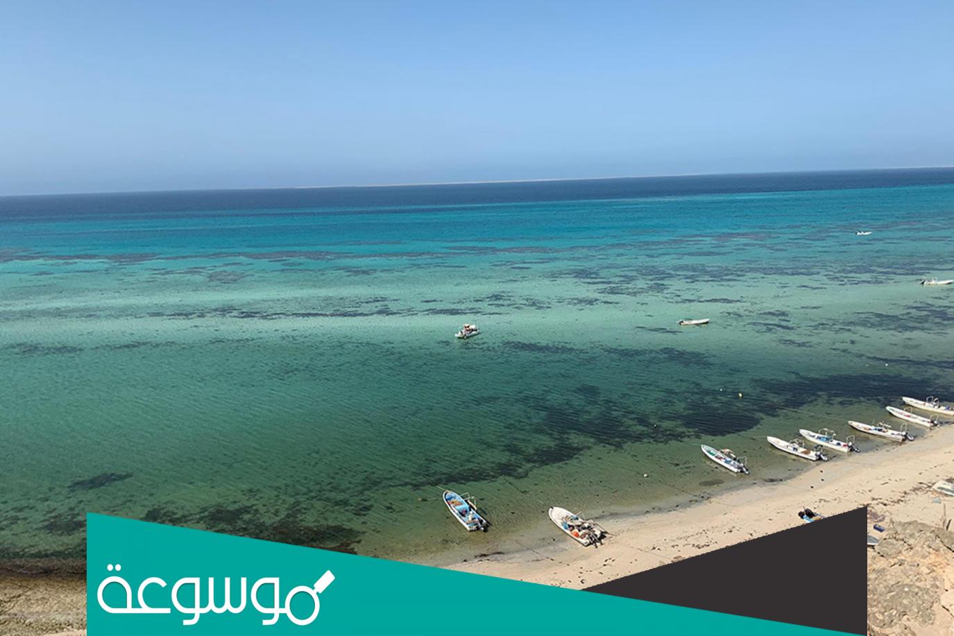 كيف تجعل من جزيرة فرسان منطقة جذب سياحي