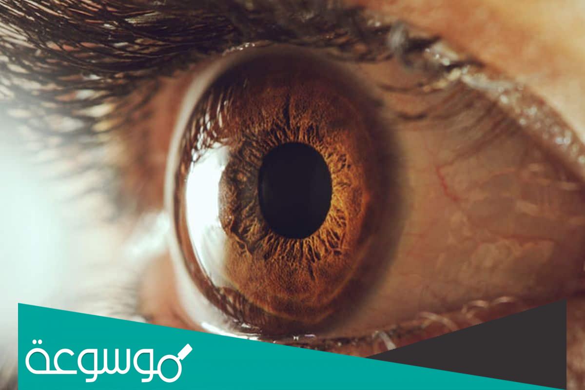 كيف تعرف الحاسد في المنام