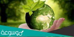 كيف نحافظ على البيئة  ؟