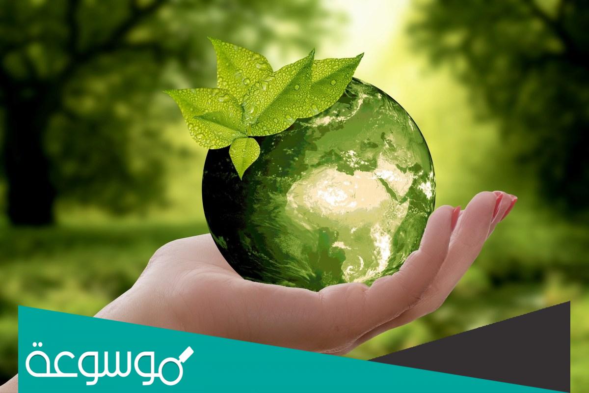 كيف نحافظ على البيئة ؟