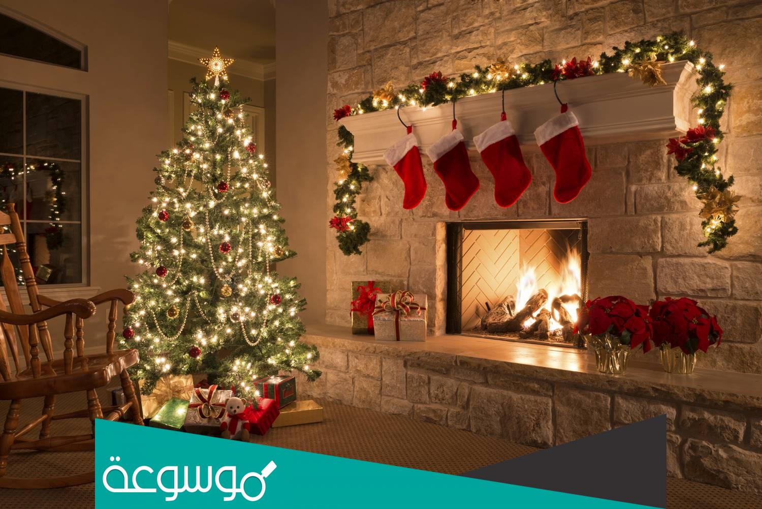 لماذا ترمز شجرة عيد الميلاد