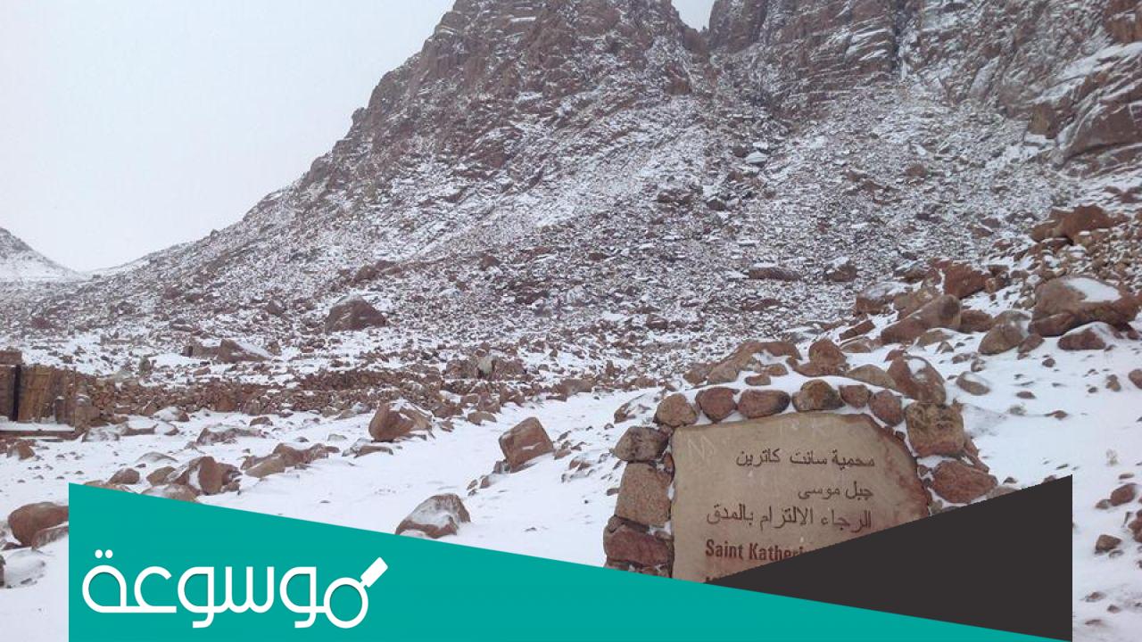 لماذا سميت محميه سانت كاترين؟