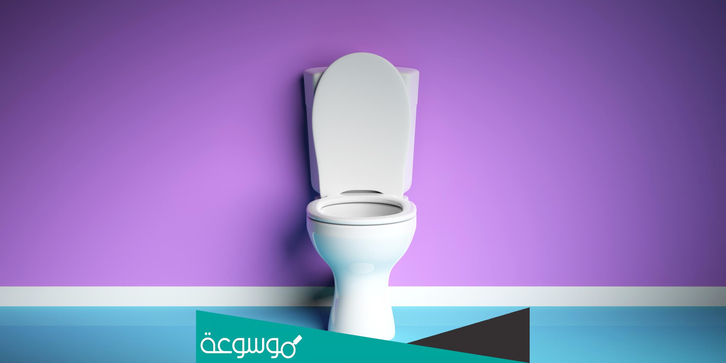 لماذا مقاعد المراحيض العامة على شكل حرف U