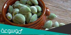 لوز اخضر فوائد اللوز الأخضر للصحة والجسم والرجيم والحامل