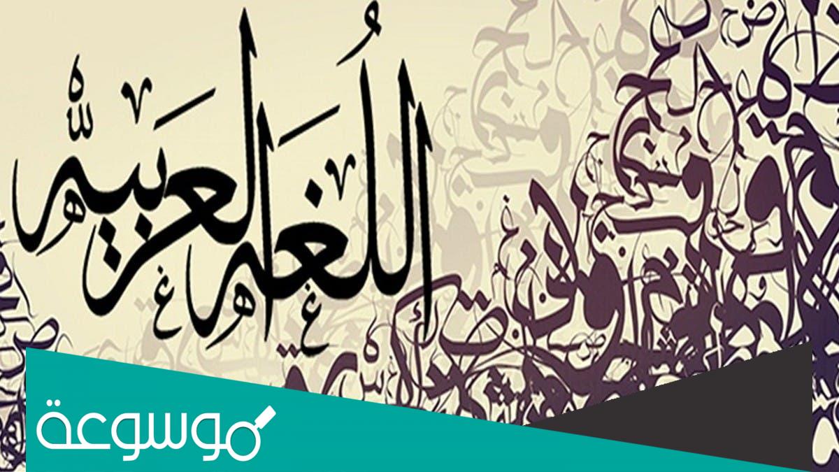 ما معنى كلمة تحاجان