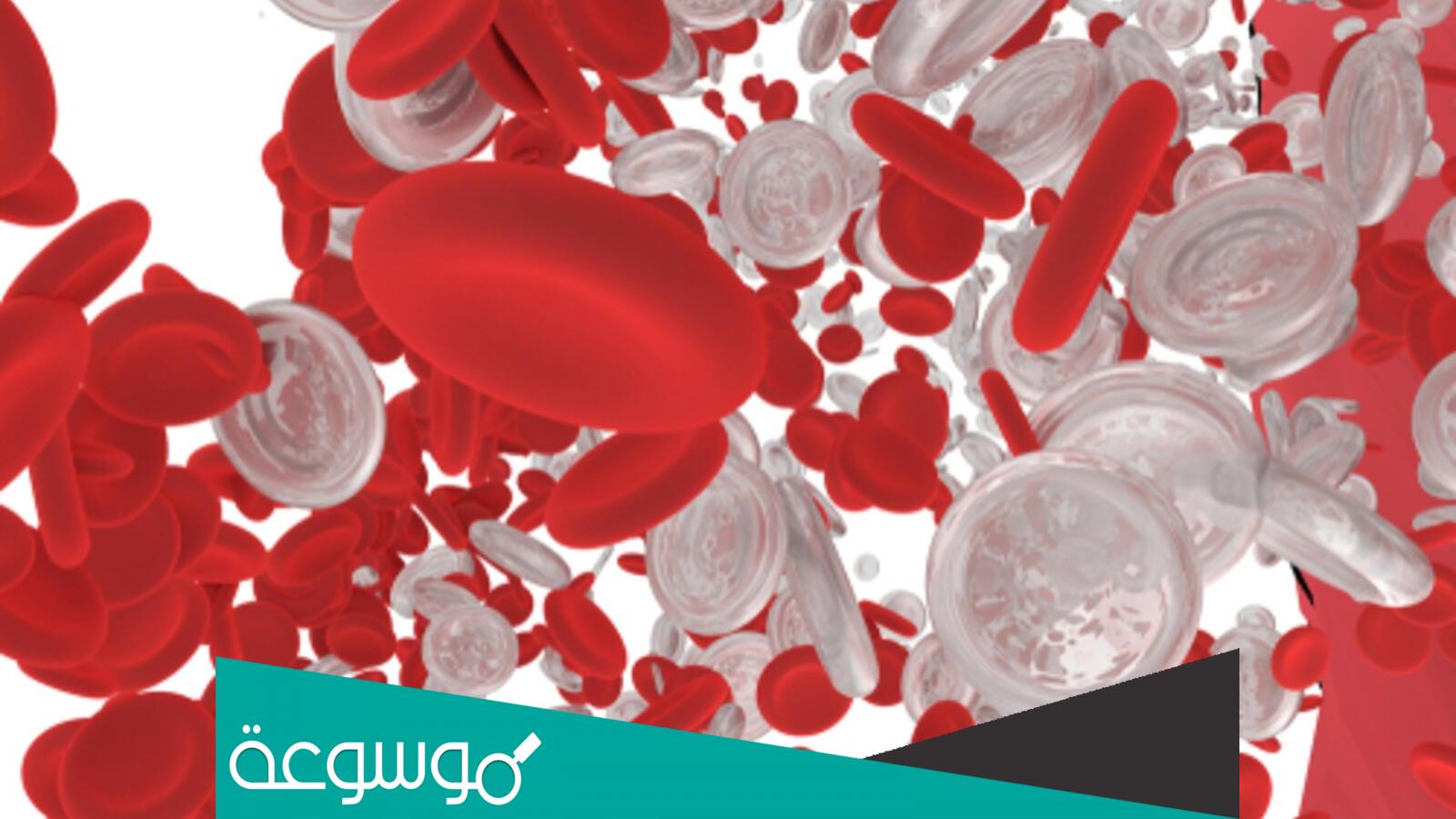 ما هو مرض ندرة المحببات ؟ .. وأنواعه