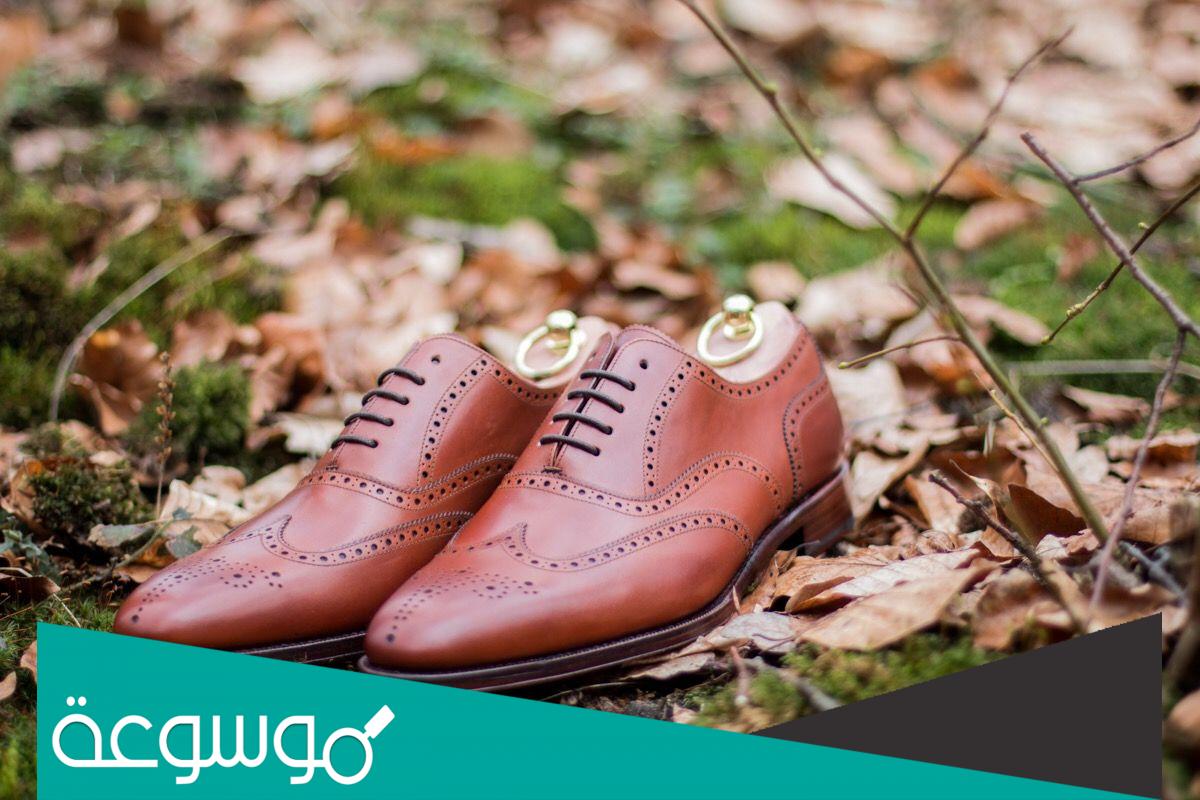 ما هو معنى تفسير الصندل في المنام في مختلف الحالات ؟