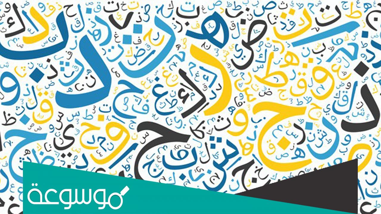 ما هي اطول كلمة في اللغة العربية