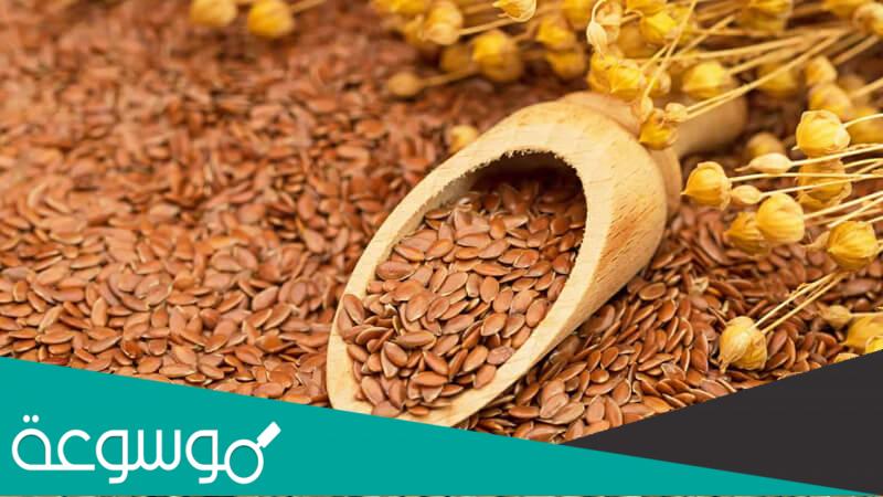 ما هي بذرة القاطونة بالمصري وفوائدها