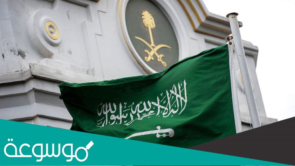ما هي جنسية حميدي العنزي المسئ للمملكة