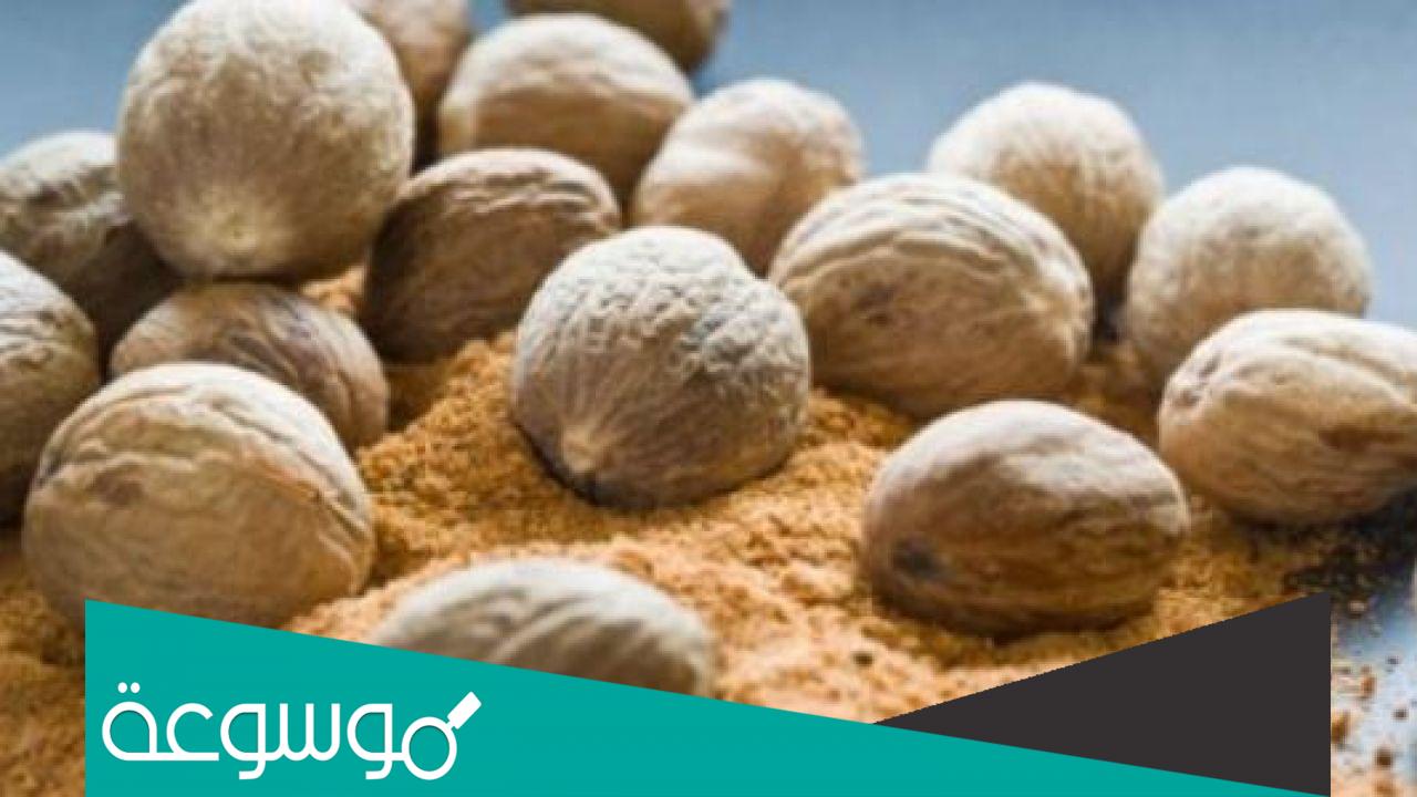 ما هي فوائد وأضرار جوزة الطيب للصحة