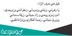 اجمل ما قيل عن حرف الزاء